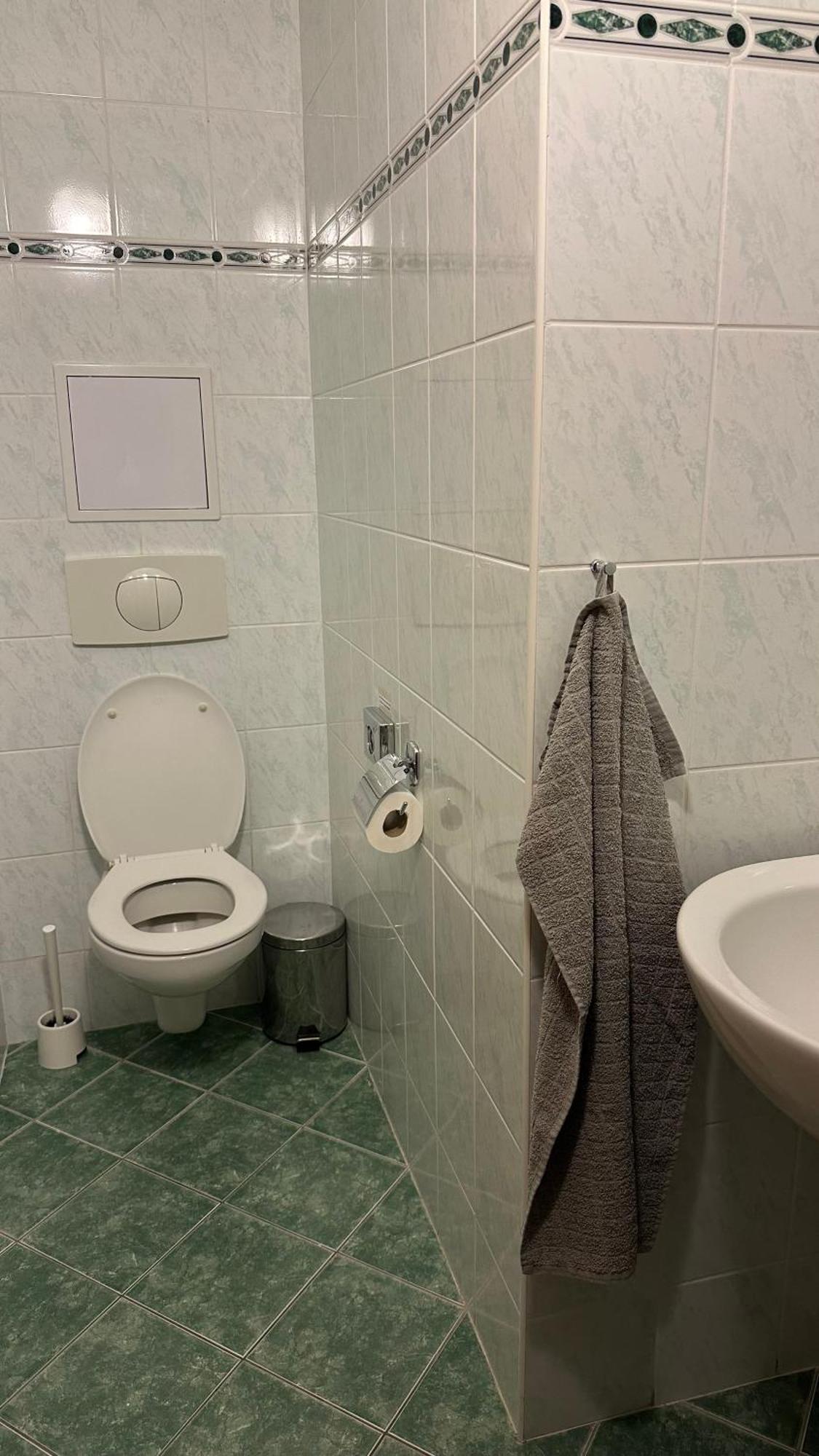 Hotel Pod Vlekem Loučná pod Klínovcem المظهر الخارجي الصورة