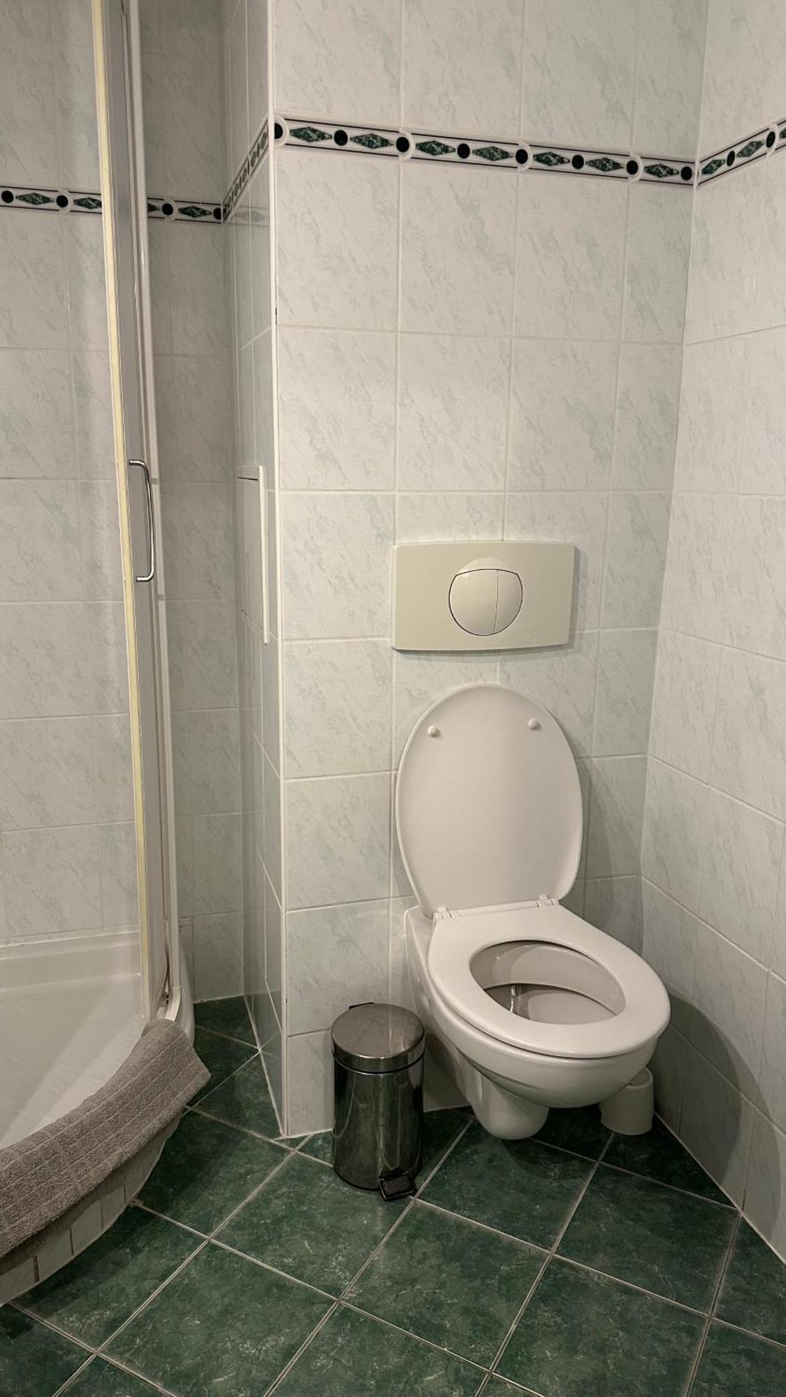 Hotel Pod Vlekem Loučná pod Klínovcem المظهر الخارجي الصورة